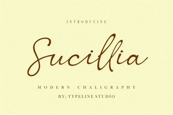 Why I Chose Sucillia for a Brand Identity Project